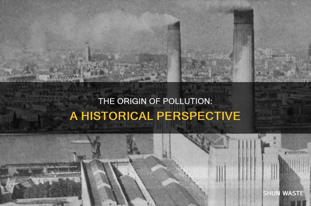 when was pollution created