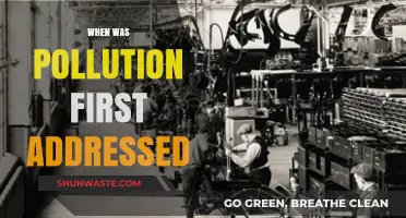 The First Steps to Address Pollution