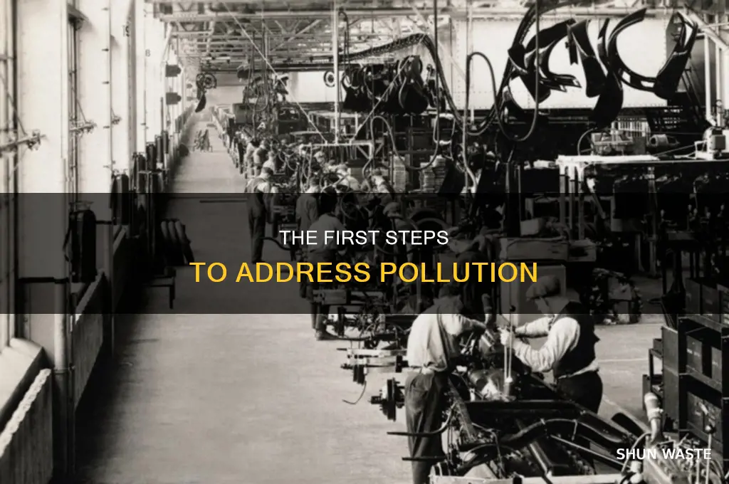 when was pollution first addressed