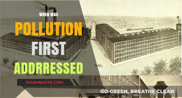 The First Fight Against Pollution: A Historical Perspective
