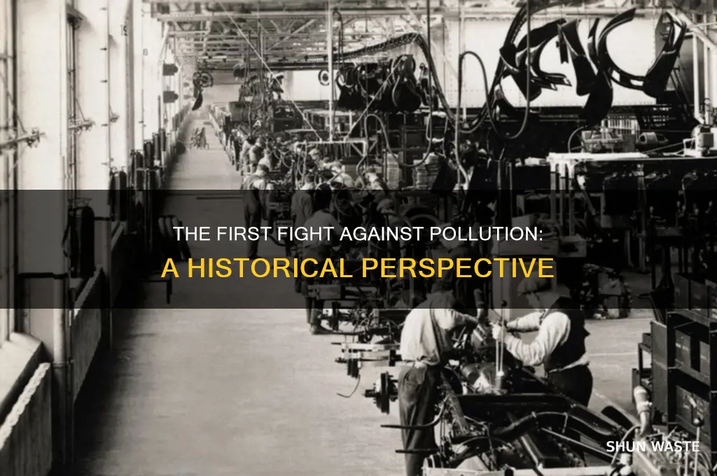 when was pollution first addrressed