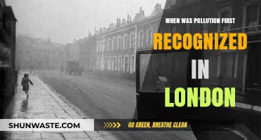 London's Historical Battle with Pollution: When Did It Start?