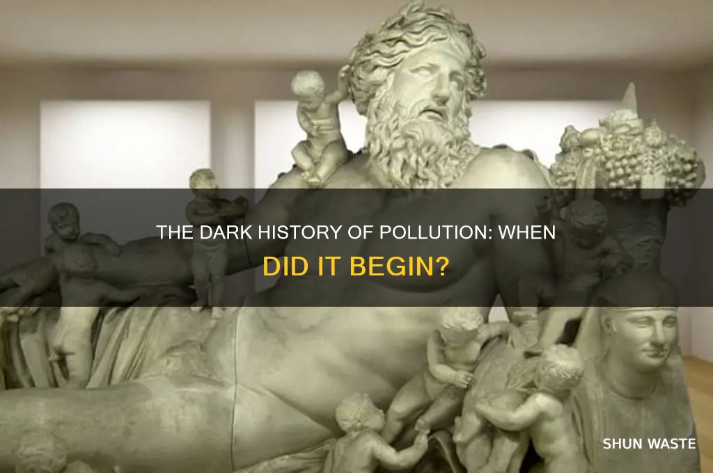 when was pollution intoduced