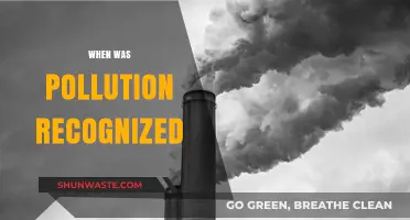 The History of Pollution Awareness: A Global Concern