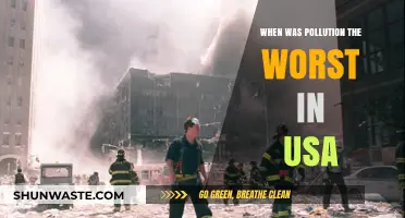 The USA's Dark Days of Pollution: When Was It Worst?