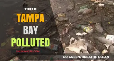 Tampa Bay's Pollution History: A Timeline of Environmental Challenges