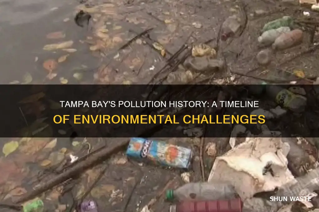when was tampa bay polluted