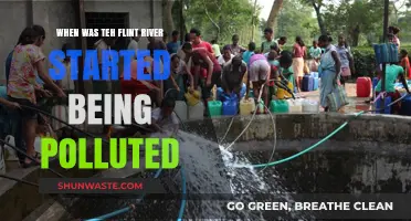 The Flint River Pollution: When Did It Begin?