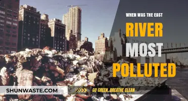 The East River's Pollution Crisis: A Historical Perspective