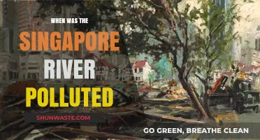 The Singapore River's Pollution History
