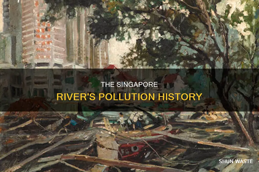 when was the singapore river polluted