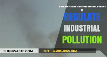 How Federal Powers Curbed Industrial Pollution