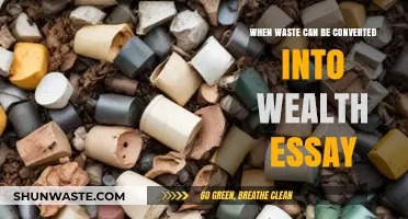 Transforming Trash into Treasure: The Art of Waste-to-Wealth Conversion