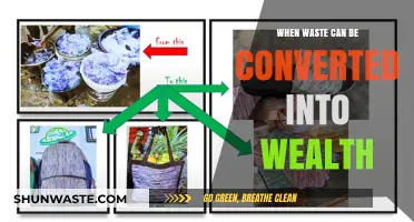 From Trash to Treasure: Unlocking the Hidden Value in Waste