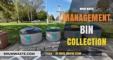 Efficient Waste Management: Bin Collection Best Practices