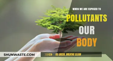 How Pollutants Affect Our Body's Health