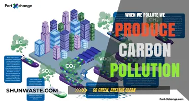 Carbon Pollution: Our Actions, Our Emissions
