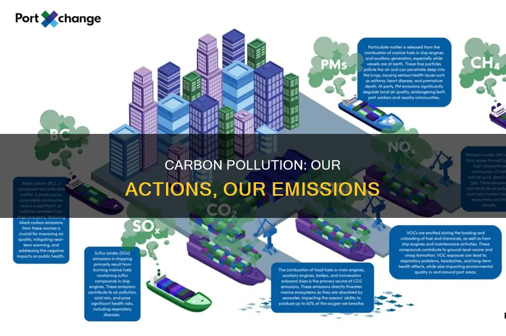 when we pollute we produce carbon pollution