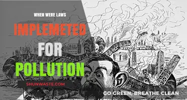 Pollution Laws: A Historical Perspective