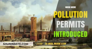 The Evolution of Pollution Permits: A Historical Perspective