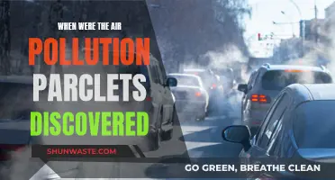 Air Pollution's Discovery: A Historical Perspective