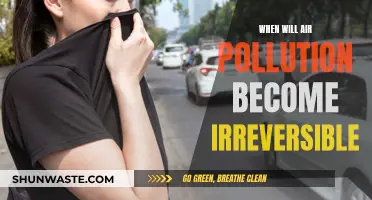 Air Pollution: The Point of No Return?