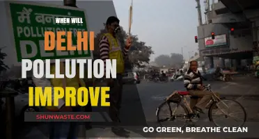 Delhi's Pollution: What's the Timeline for Improvement?