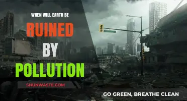 The Earth's Final Days: Pollution's Inevitable Victory