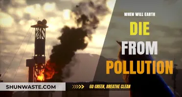 The Earth's Final Hours: Pollution's End Game