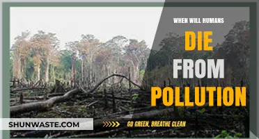 The Ticking Time Bomb: Pollution's Deadly Impact on Humans