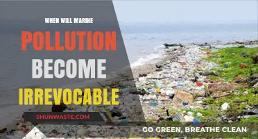 The Ticking Time Bomb of Marine Pollution