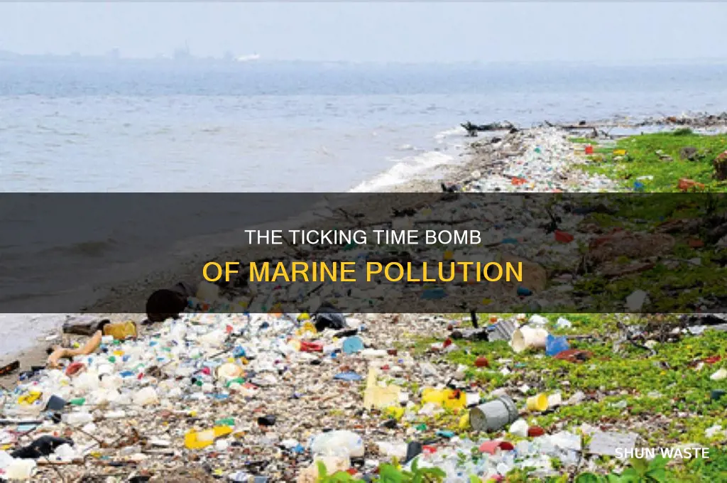 when will marine pollution become irrevocable