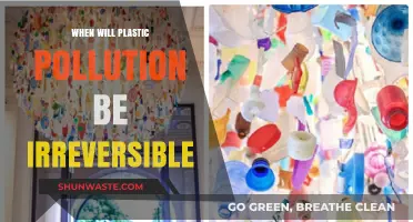 The Ticking Time Bomb of Plastic Pollution