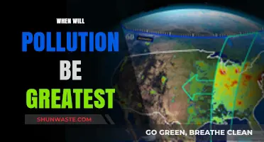 Evening Rush Hour: Pollution Peaks