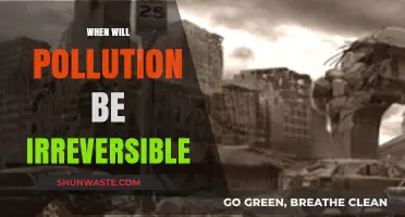 The Ticking Time Bomb of Irreversible Pollution