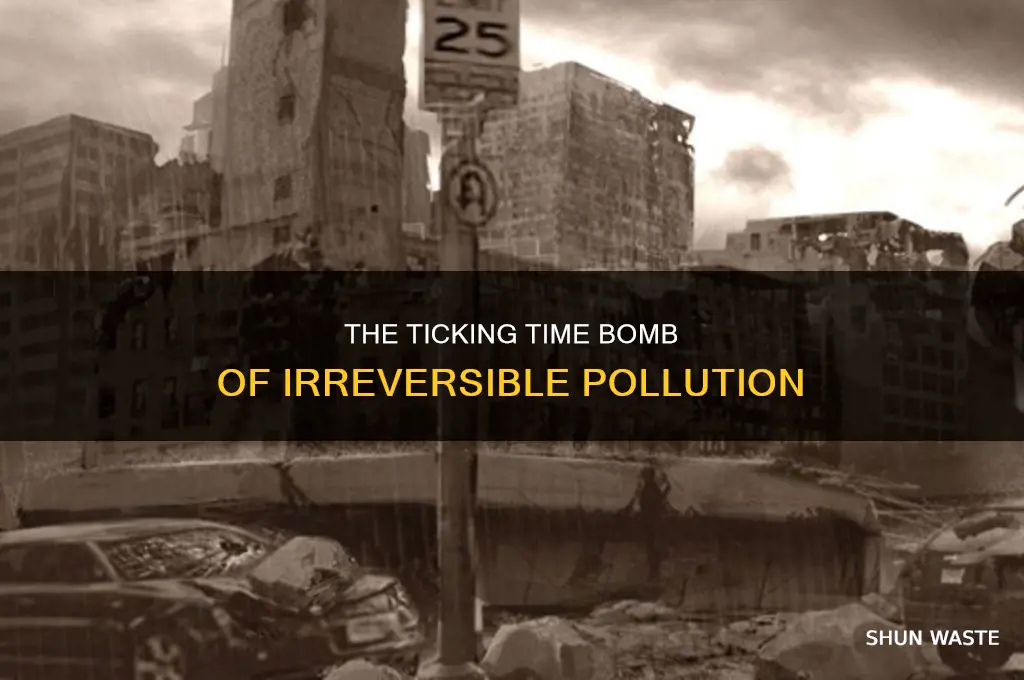 when will pollution be irreversible