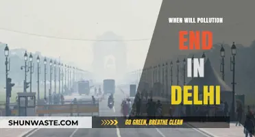 Delhi's Pollution: What's the End Game?