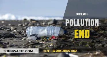 The End of Pollution: A Far-off Dream?