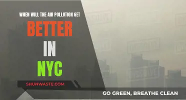 Air Quality in NYC: When Will We Breathe Easy?