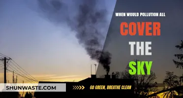 The Darkening Sky: Pollution's Everlasting Cover