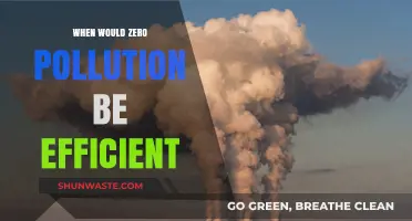 A World Without Pollution: When Can We Achieve It?