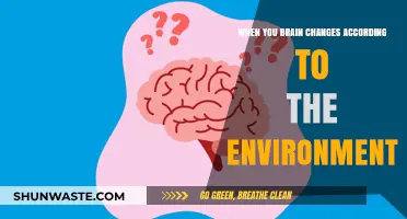 How Your Brain Adapts and Rewires in Changing Environments