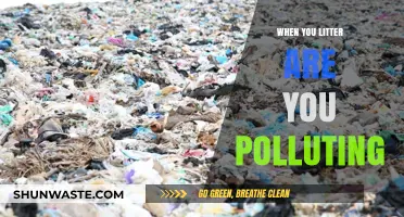 Littering: An Act of Pollution and Environmental Degradation