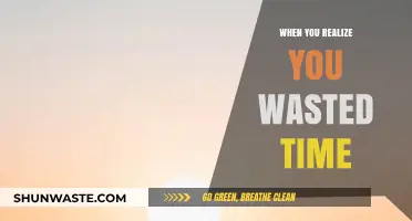 Epiphany of Lost Hours: Reflecting on Wasted Time