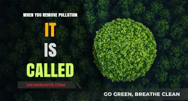 How to Restore Nature by Removing Pollution