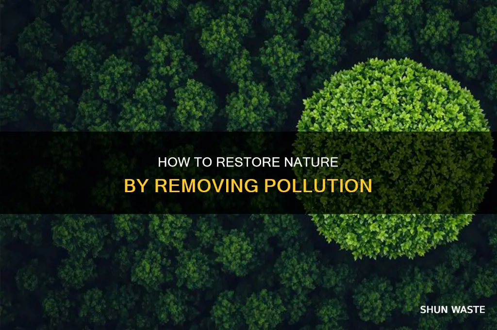 when you remove pollution it is called