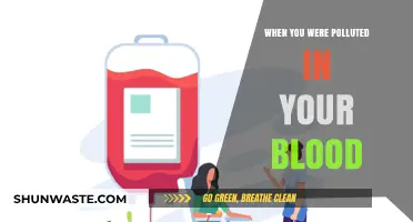 Blood Pollution: How to Detox and Recover