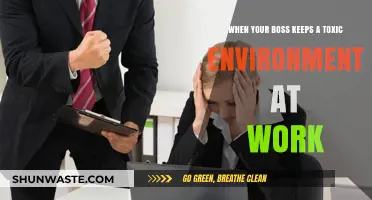 Surviving a Toxic Workplace: How to Handle a Problematic Boss