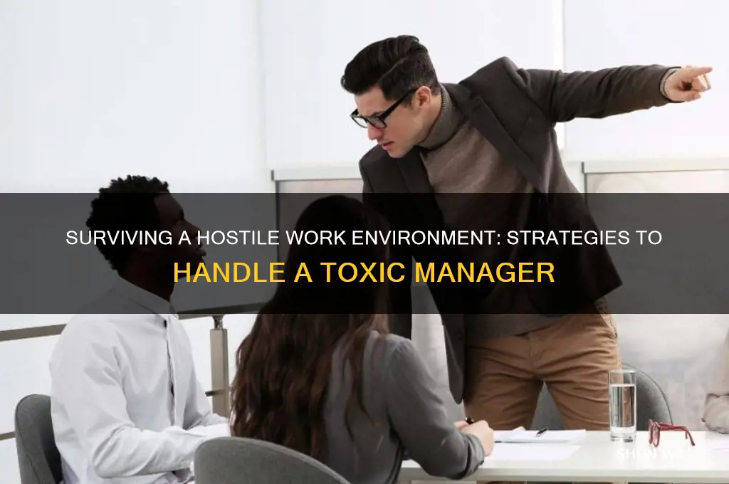 when your manager creates a hostile work environment for you
