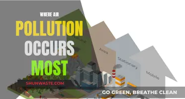 Air Pollution: Where is it Worst?